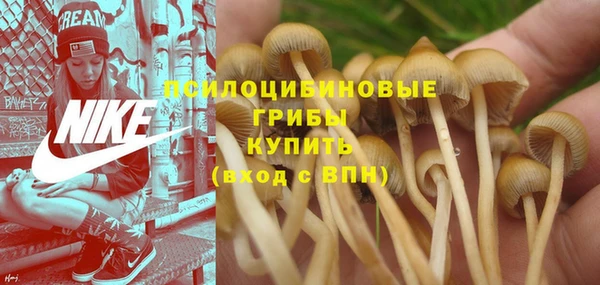 первитин Богданович