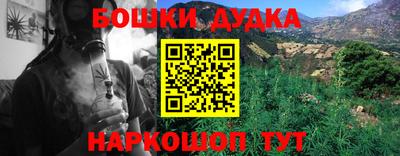 крисы Гагарин