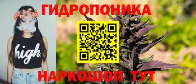 apvp Гай