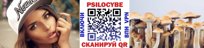 Галлюциногенные грибы Cubensis как найти закладки Свободный
