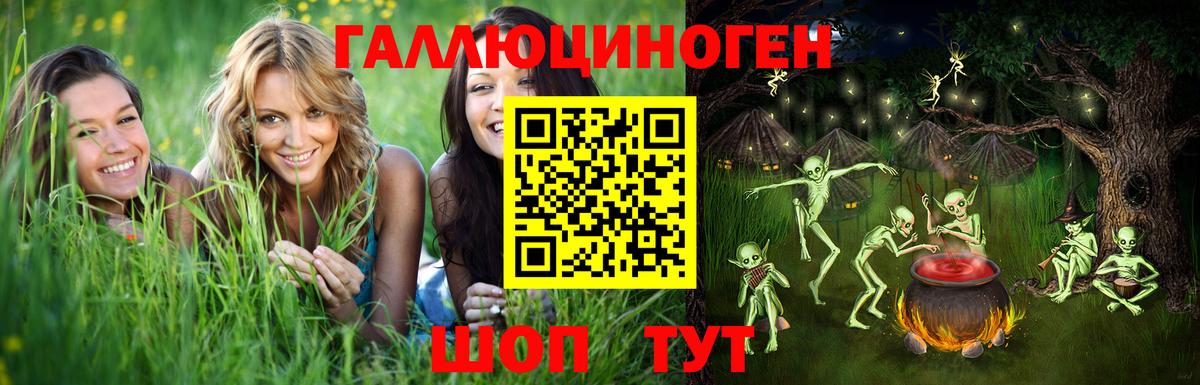 Псилоцибиновые грибы Psilocybine cubensis Свободный