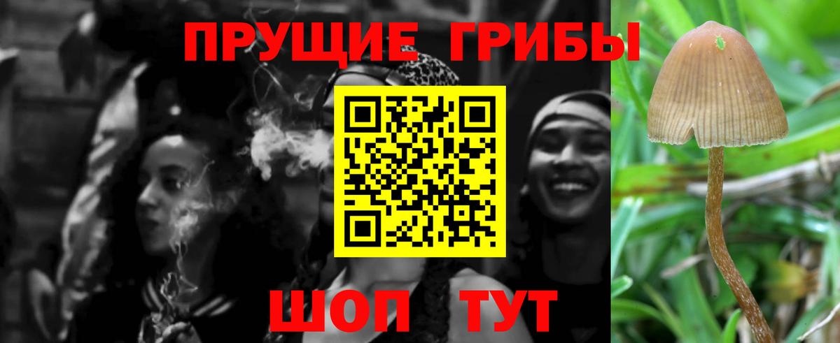 Галлюциногенные грибы мицелий  Вход с VPN  Свободный  Галлюциногенные грибы Psilocybine cubensis 